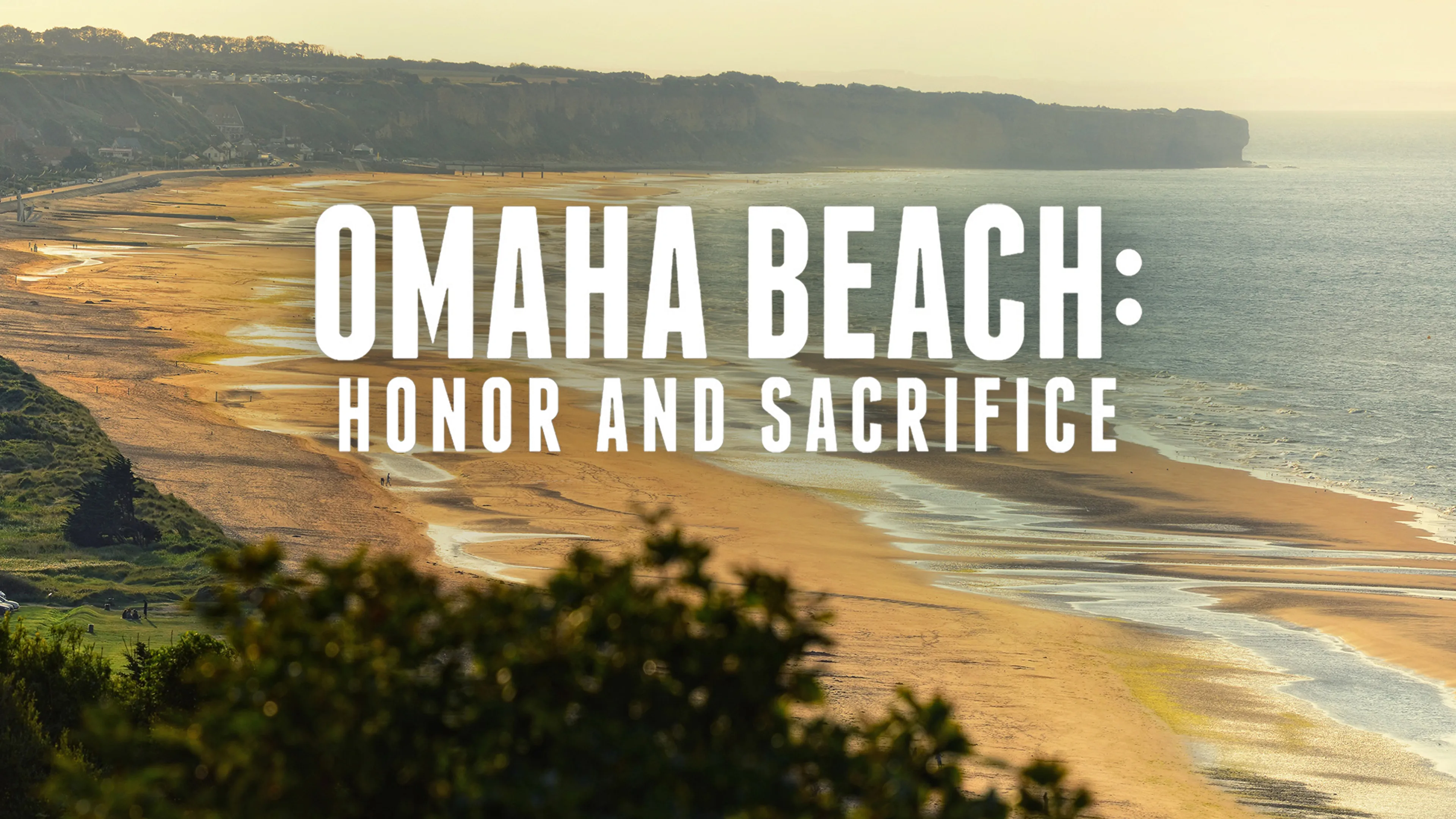 Omaha Beach: Honor and Sacrifice poster